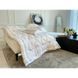 Зимова ковдра 200*220см з екопухом Swan220.980Зима фото 1